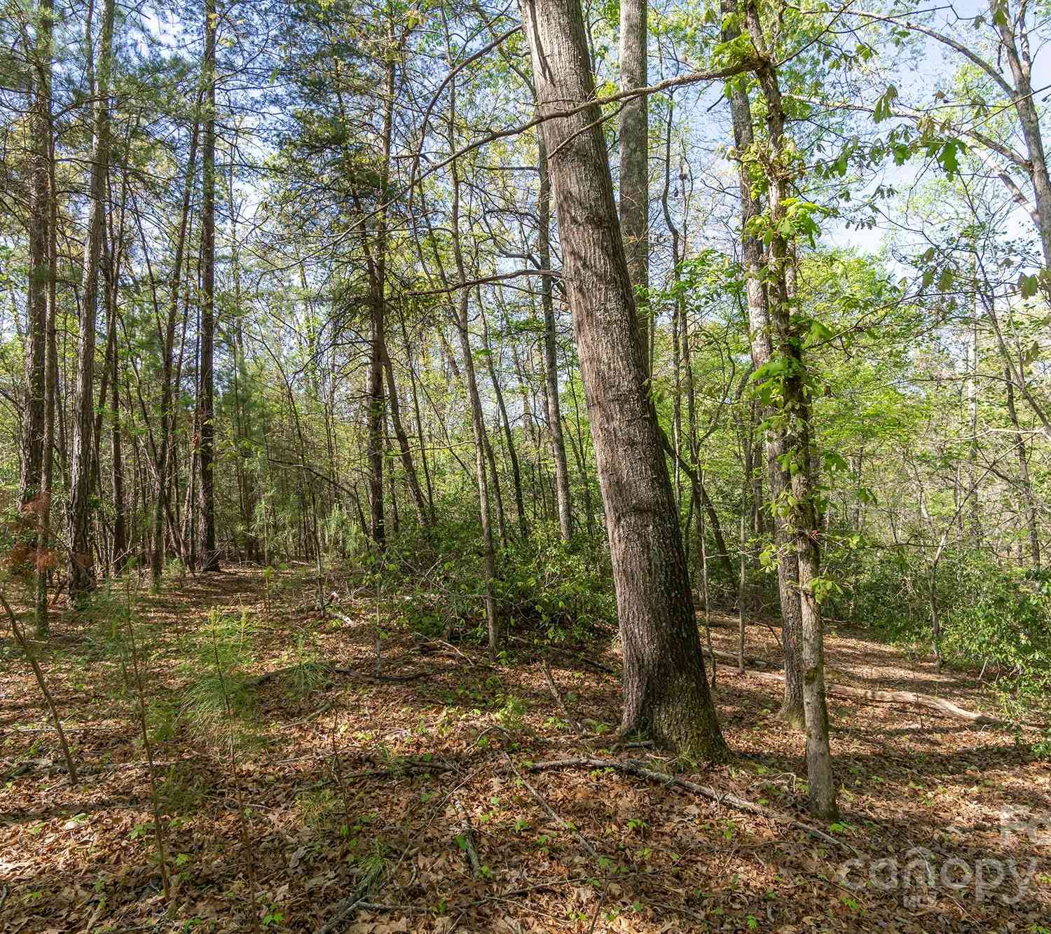 V/L Easy Street #11 AND 12, Lake Lure, North Carolina image 3