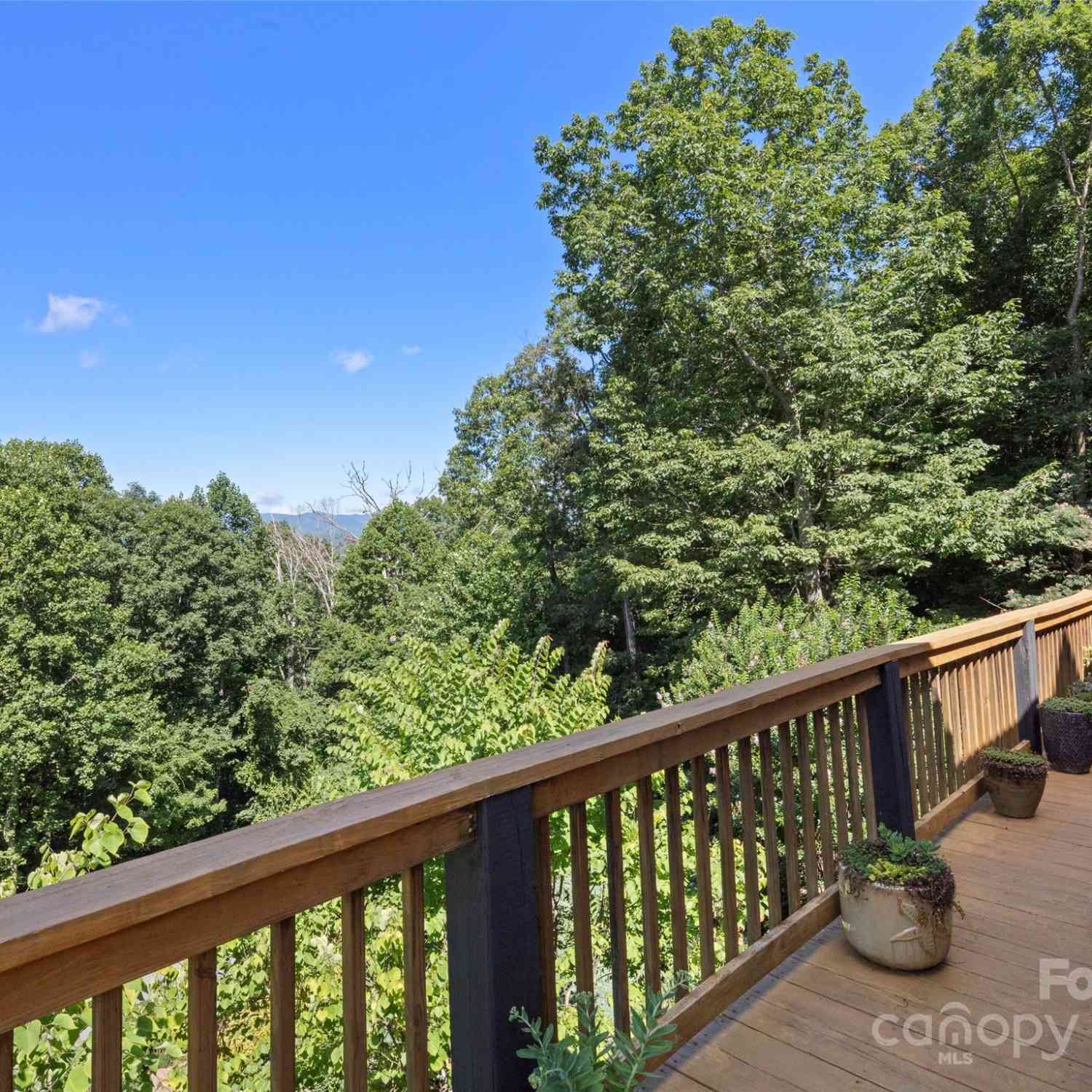 75 Timber Cove Court, Hendersonville, North Carolina image 17