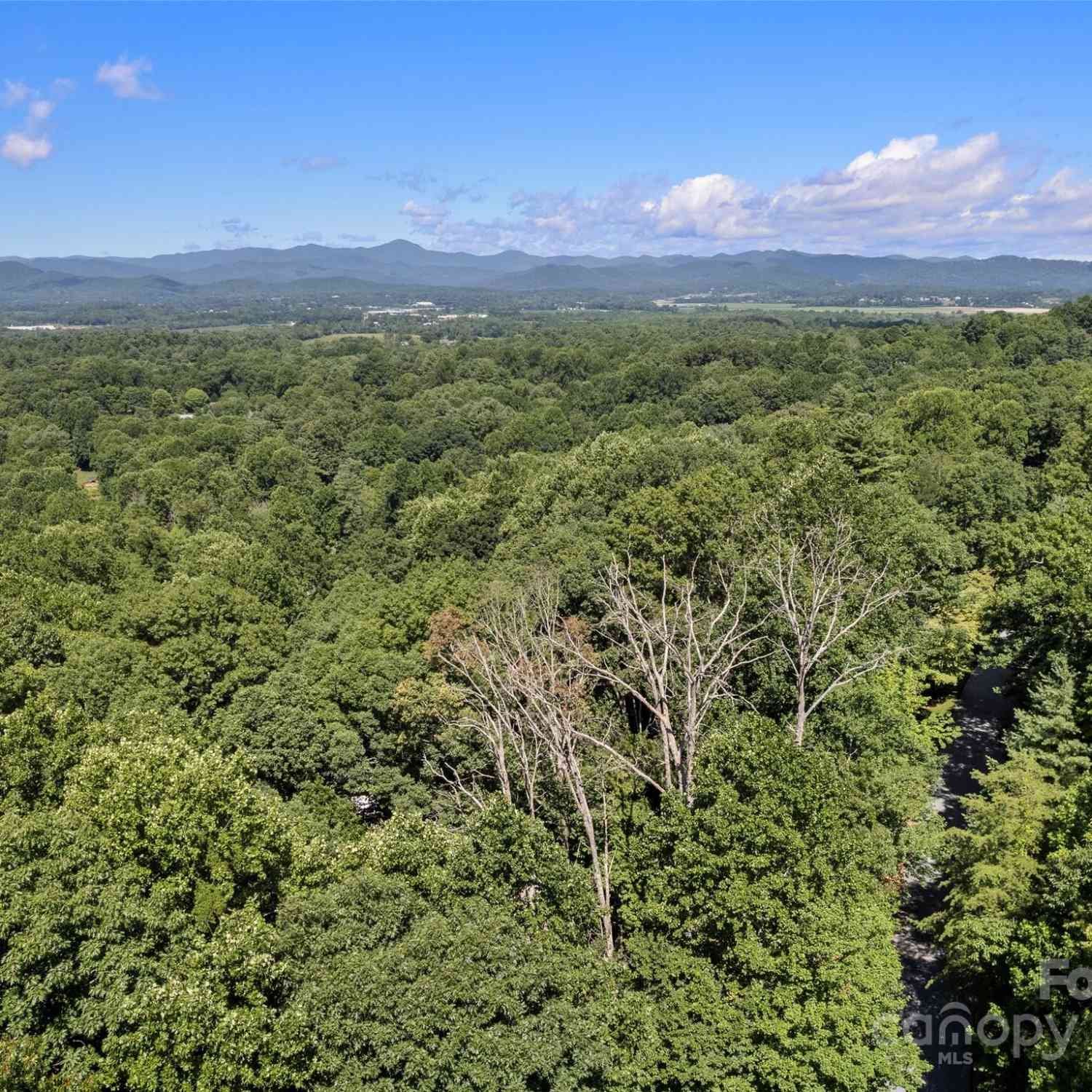75 Timber Cove Court, Hendersonville, North Carolina image 39