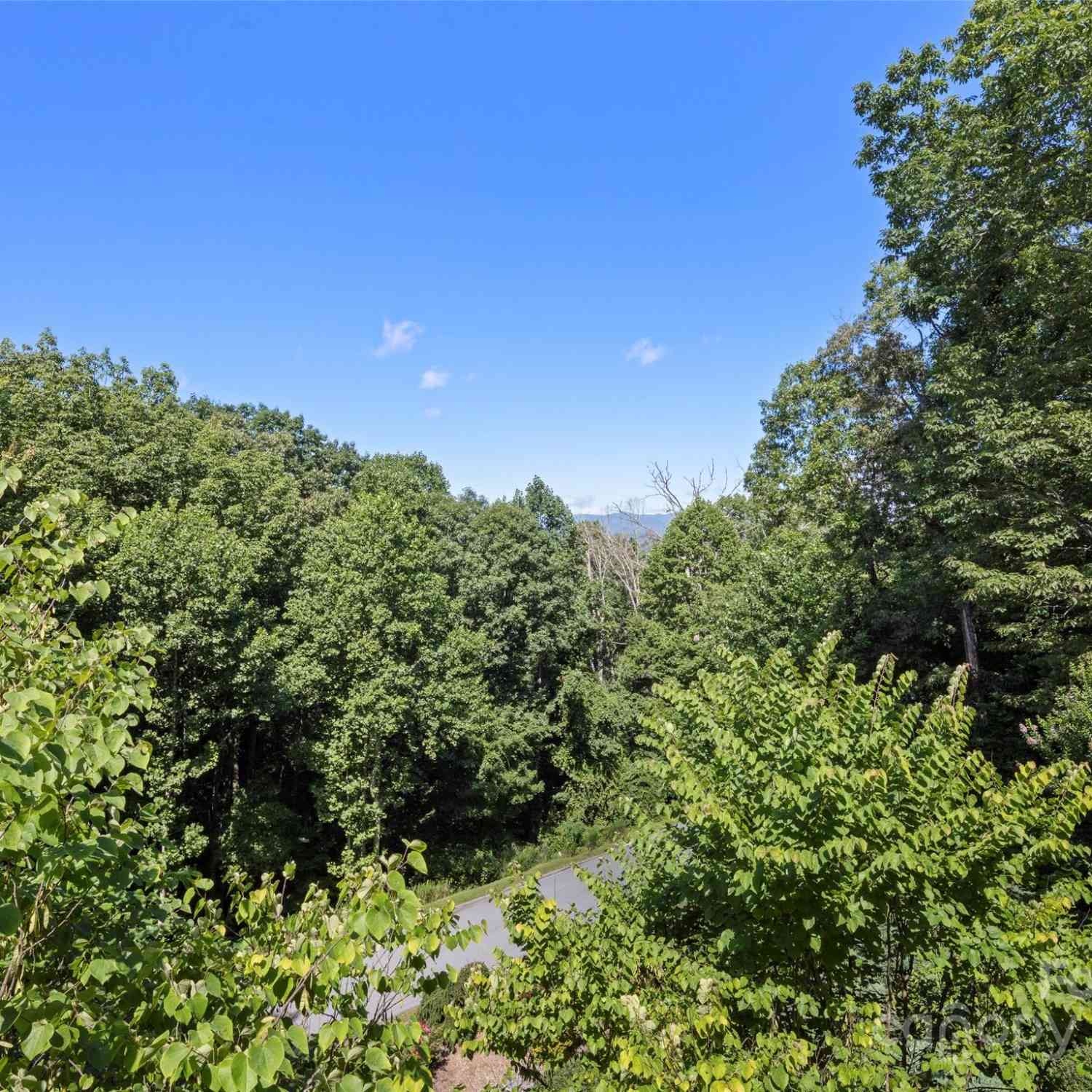75 Timber Cove Court, Hendersonville, North Carolina image 22