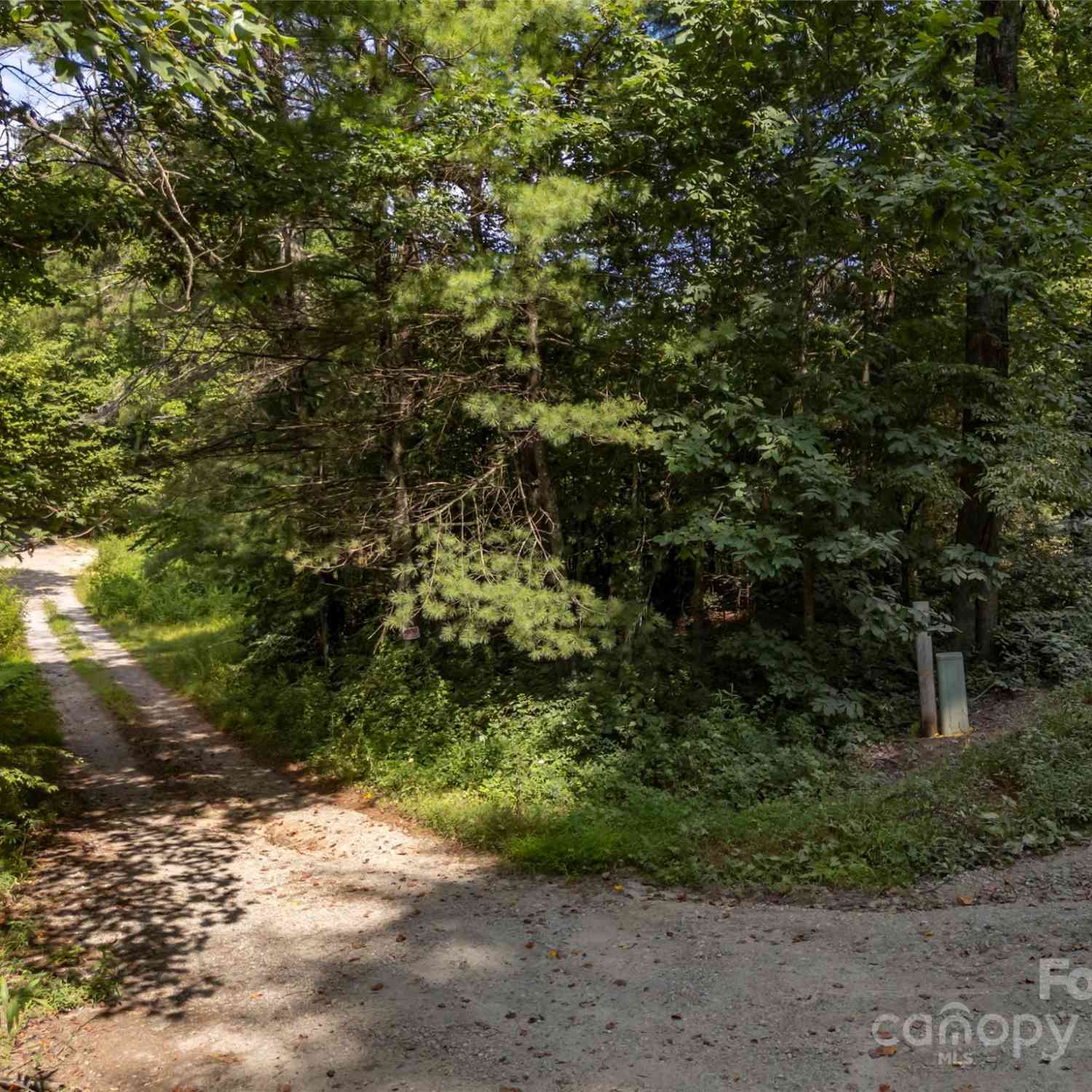 1084 Old Howard Gap Road, Saluda, North Carolina image 26