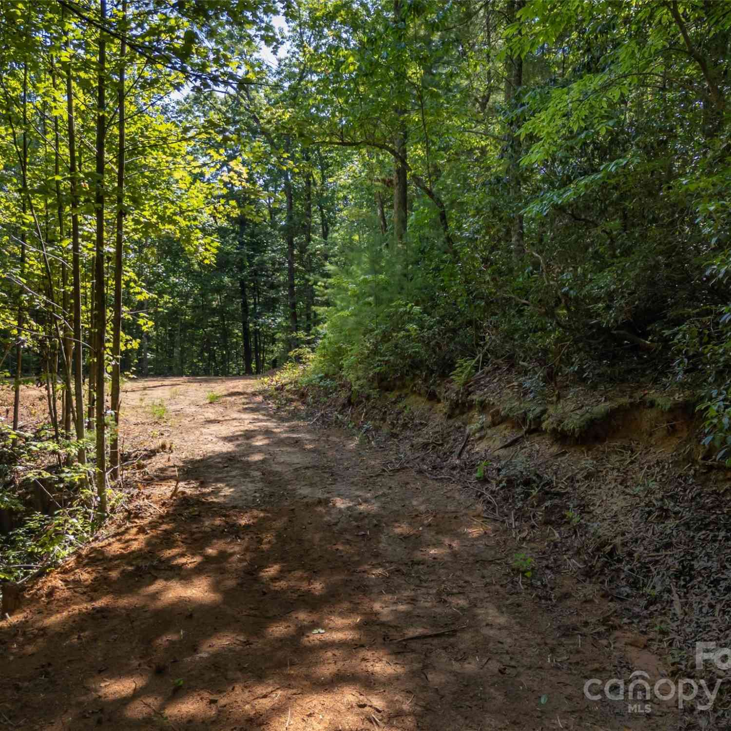 1084 Old Howard Gap Road, Saluda, North Carolina image 45