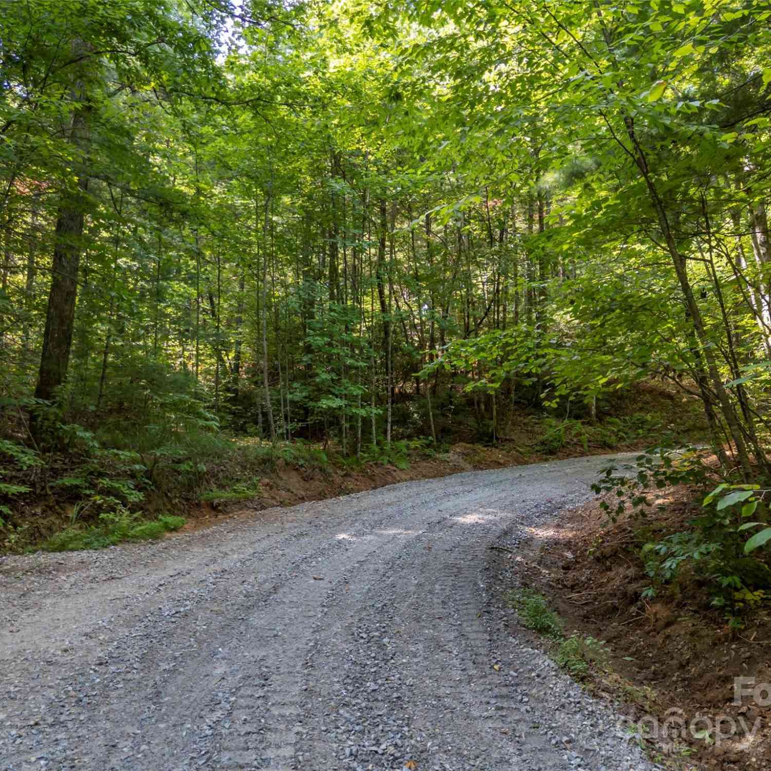 1084 Old Howard Gap Road, Saluda, North Carolina image 36