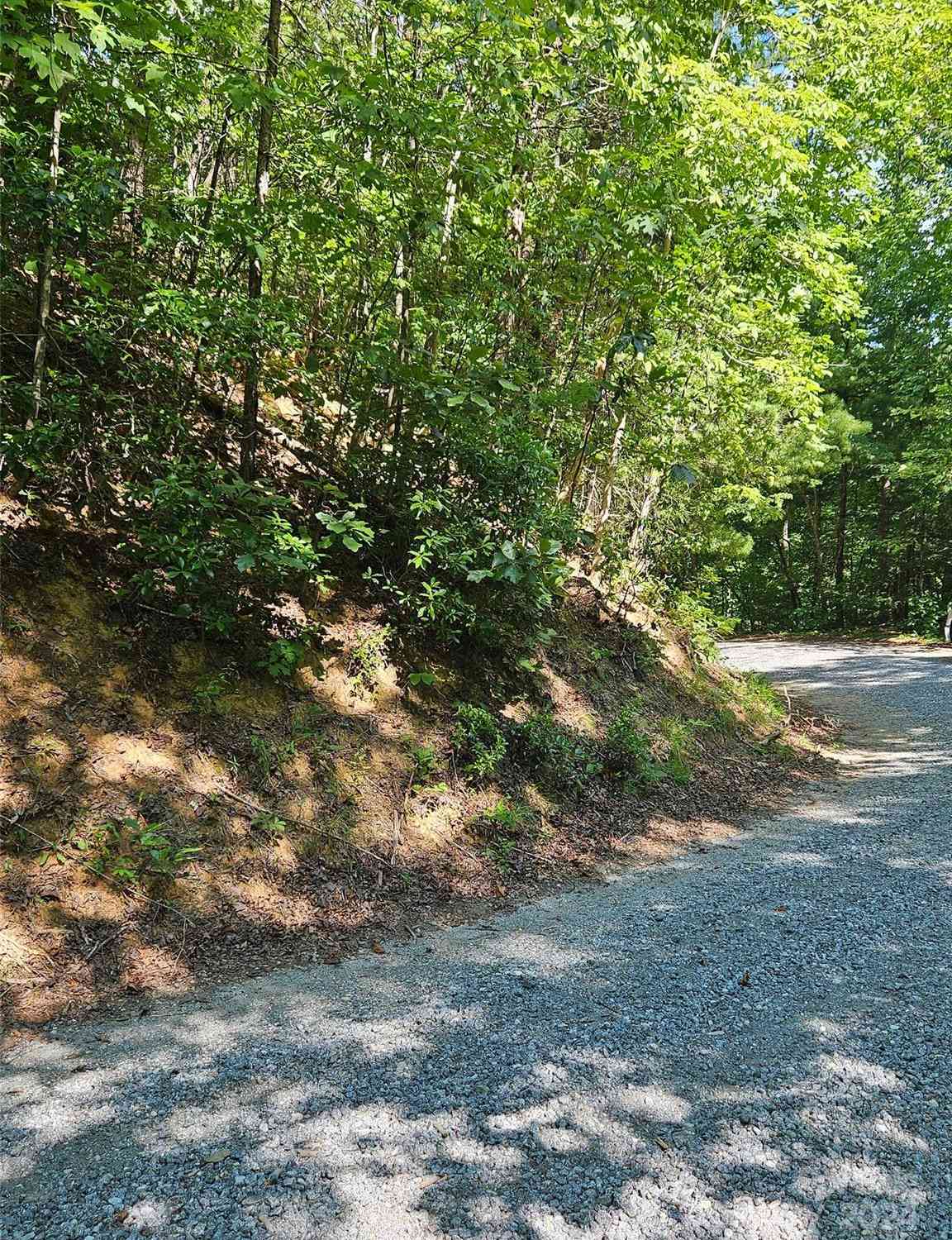 Lark Street #305, Lake Lure, North Carolina image 4