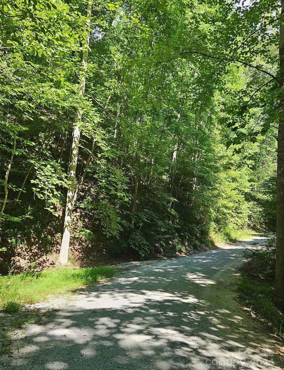 Lark Street #305, Lake Lure, North Carolina image 10