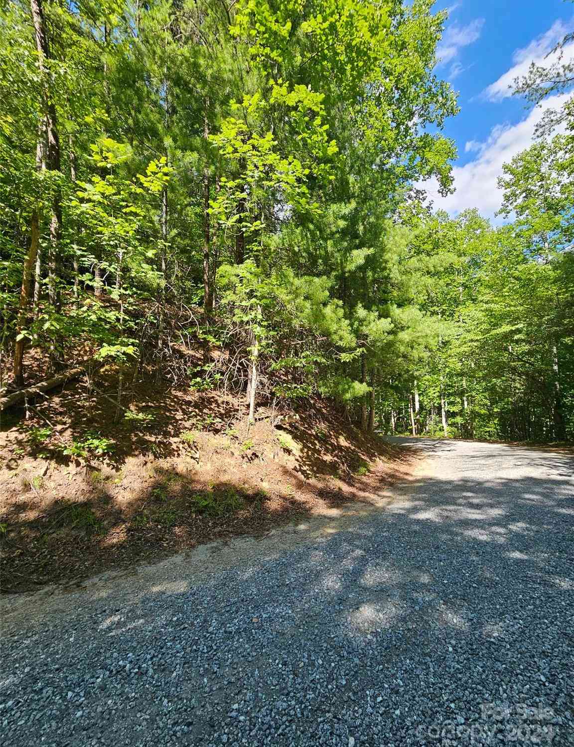 Lark Street #305, Lake Lure, North Carolina image 2