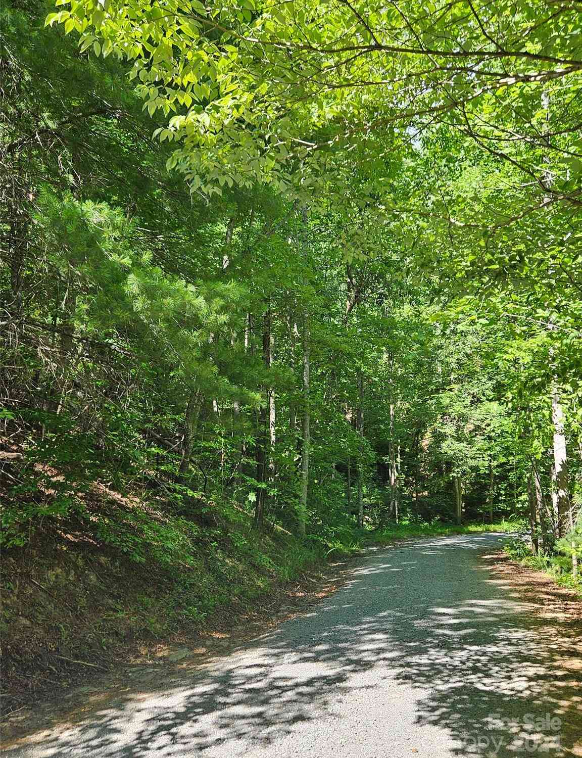 Lark Street #305, Lake Lure, North Carolina image 6