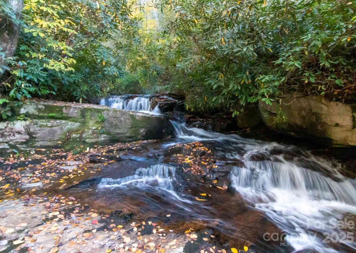 TBD Peppervine Circle #86, Rosman, North Carolina image 6