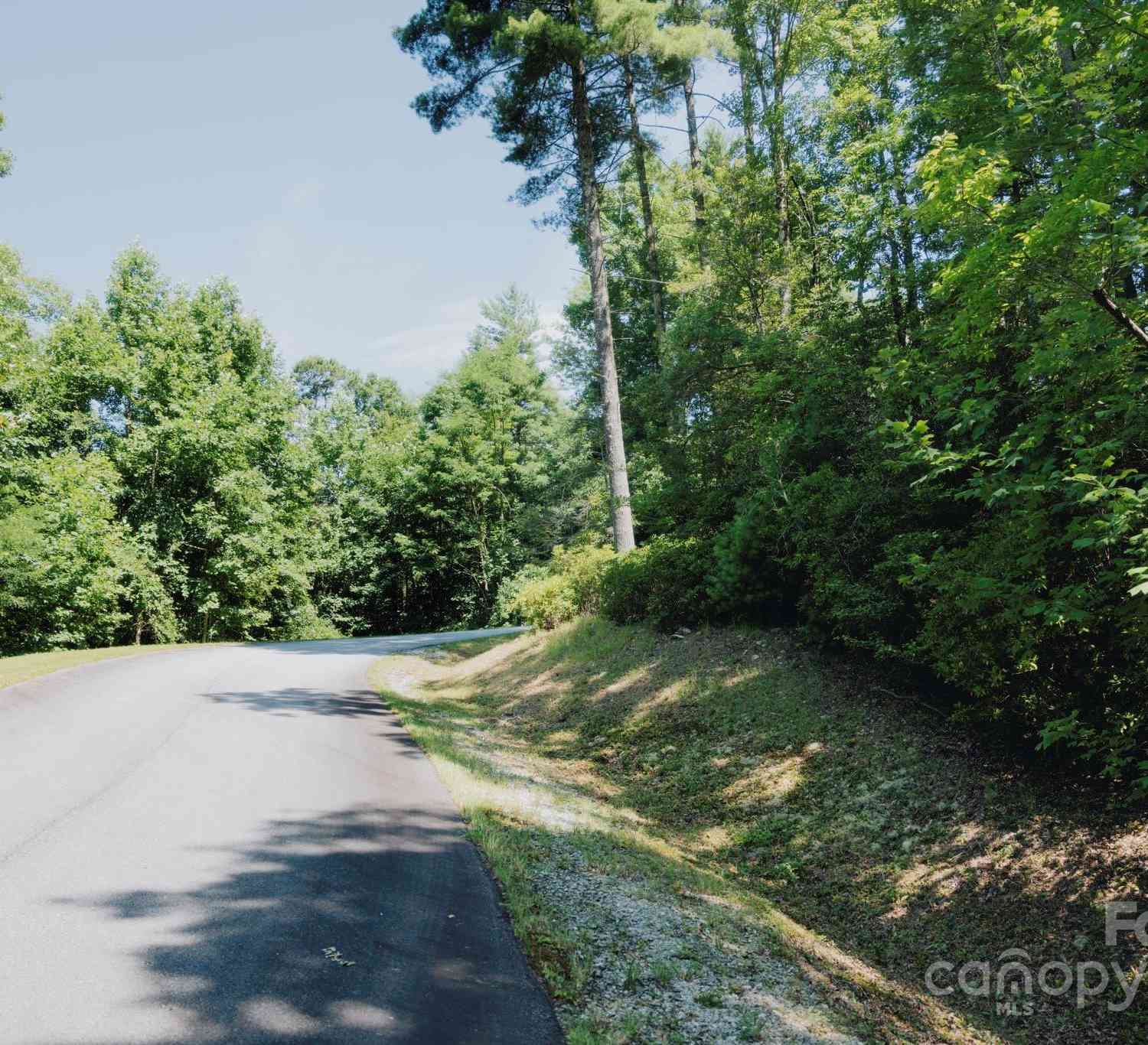 TBD Peppervine Circle #86, Rosman, North Carolina image 16