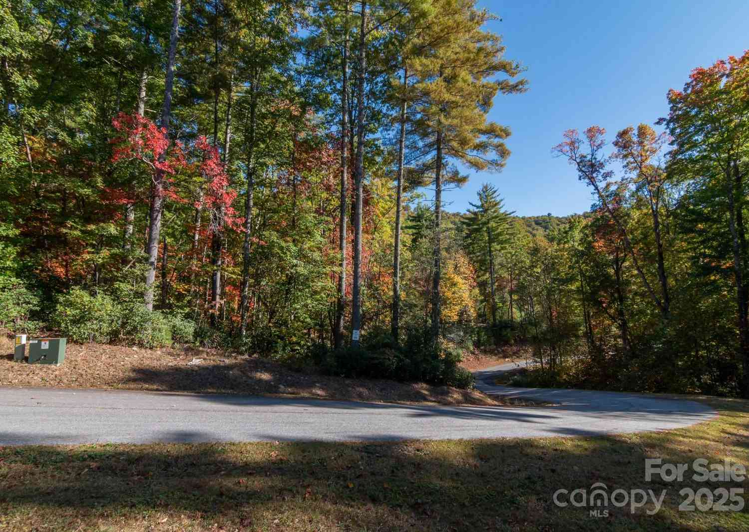 TBD Peppervine Circle #86, Rosman, North Carolina image 8