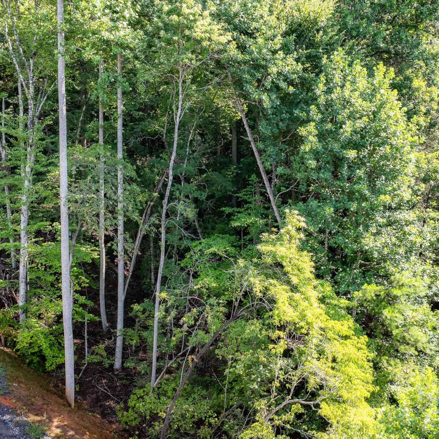 TBD Pheasant Trail #30, Marion, North Carolina image 11