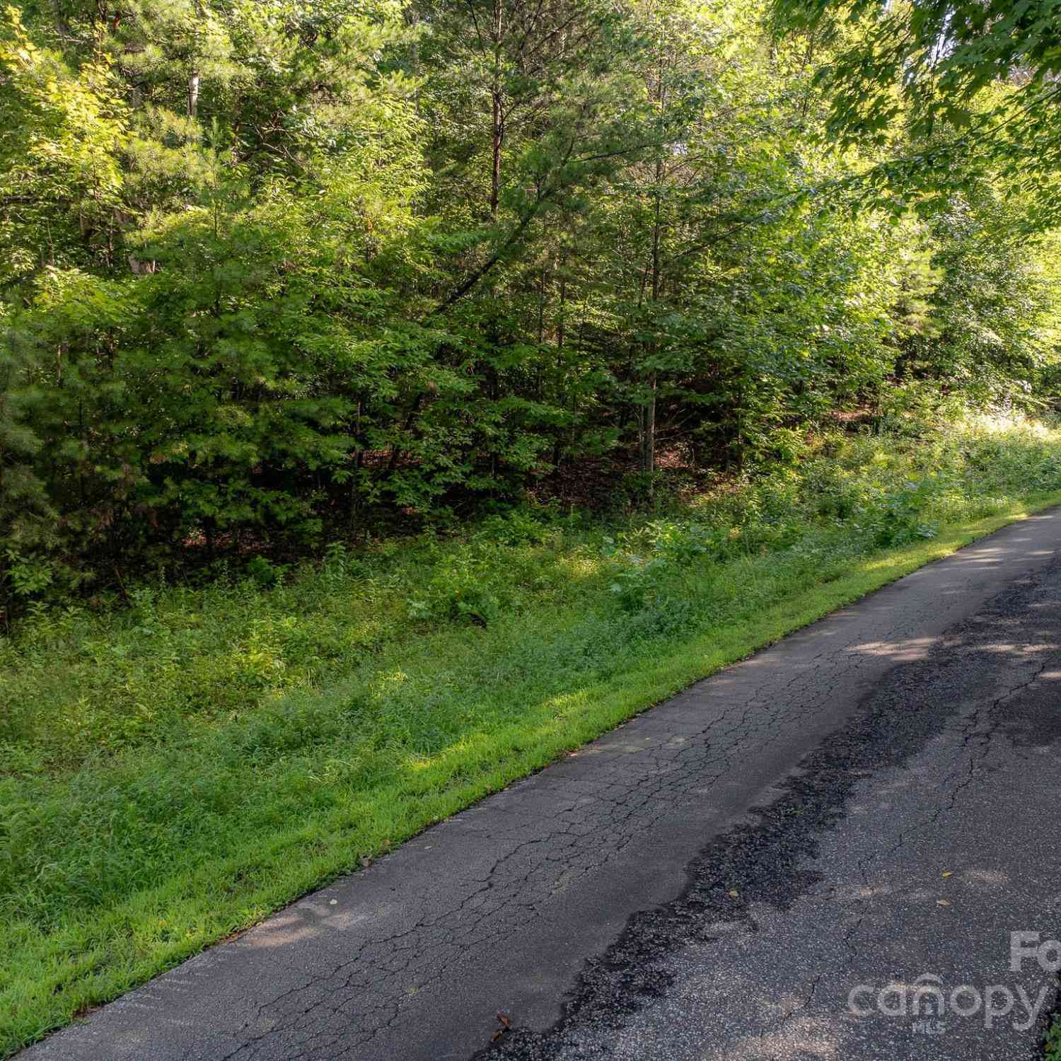 TBD Pheasant Trail #30, Marion, North Carolina image 2