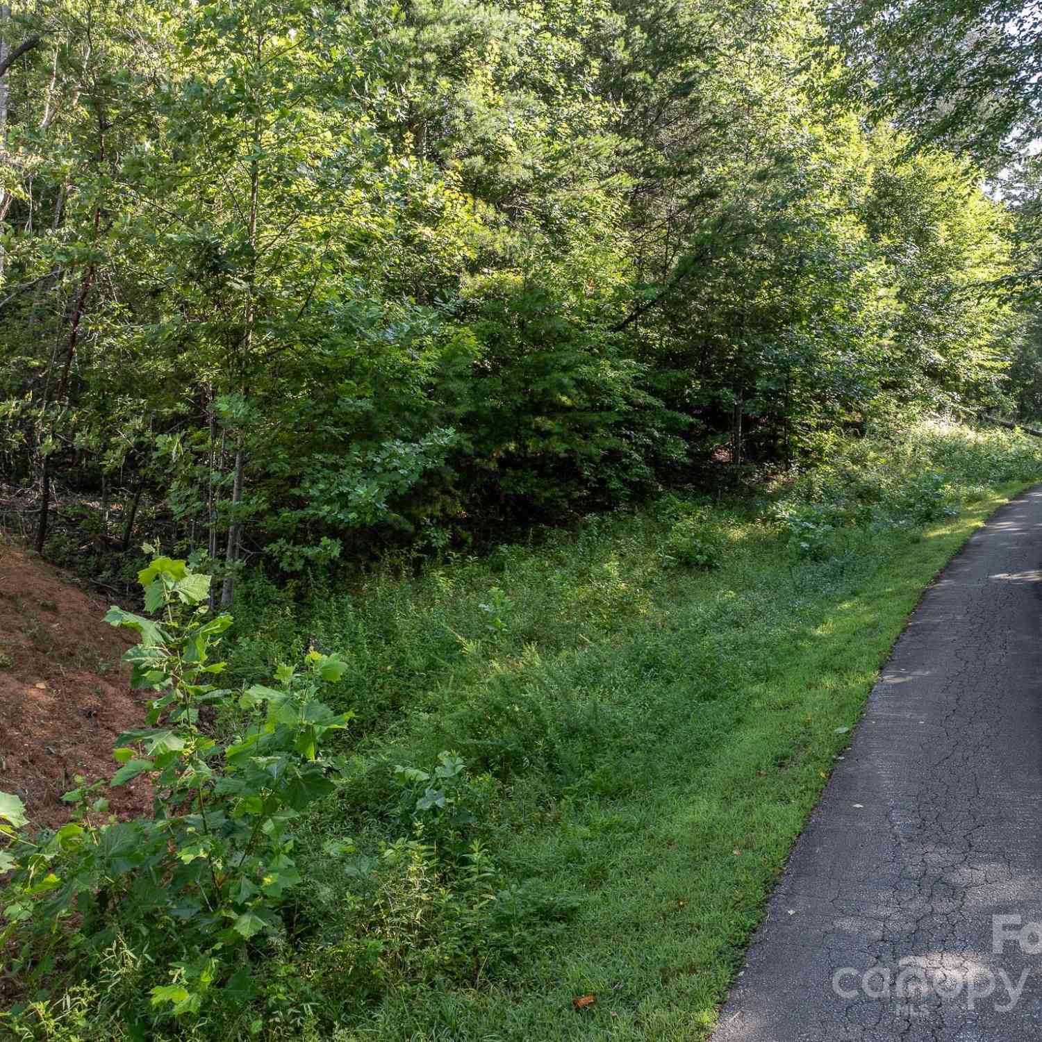 TBD Pheasant Trail #30, Marion, North Carolina image 5