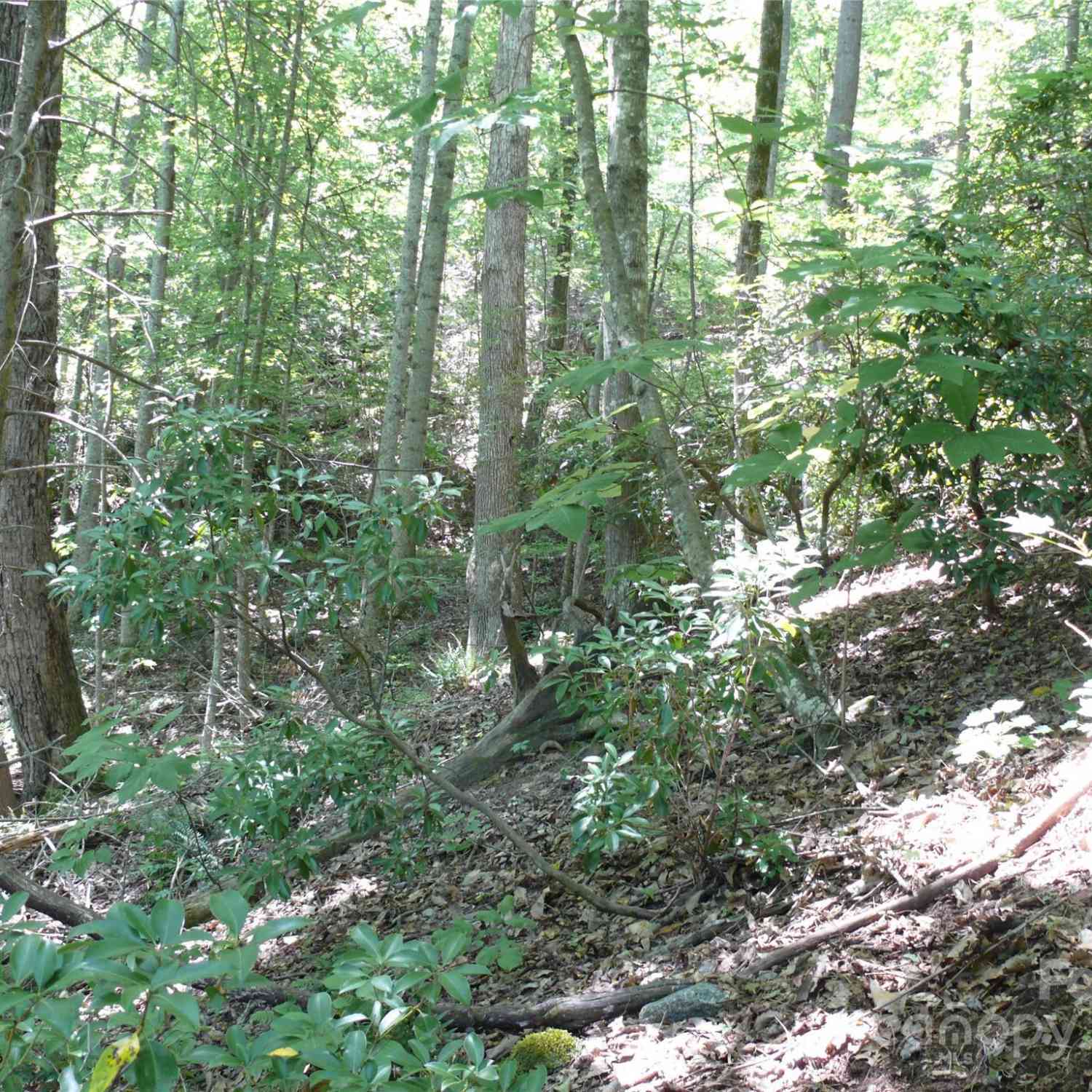 Lot 93 Rock Spring Road, Lake Lure, North Carolina image 4