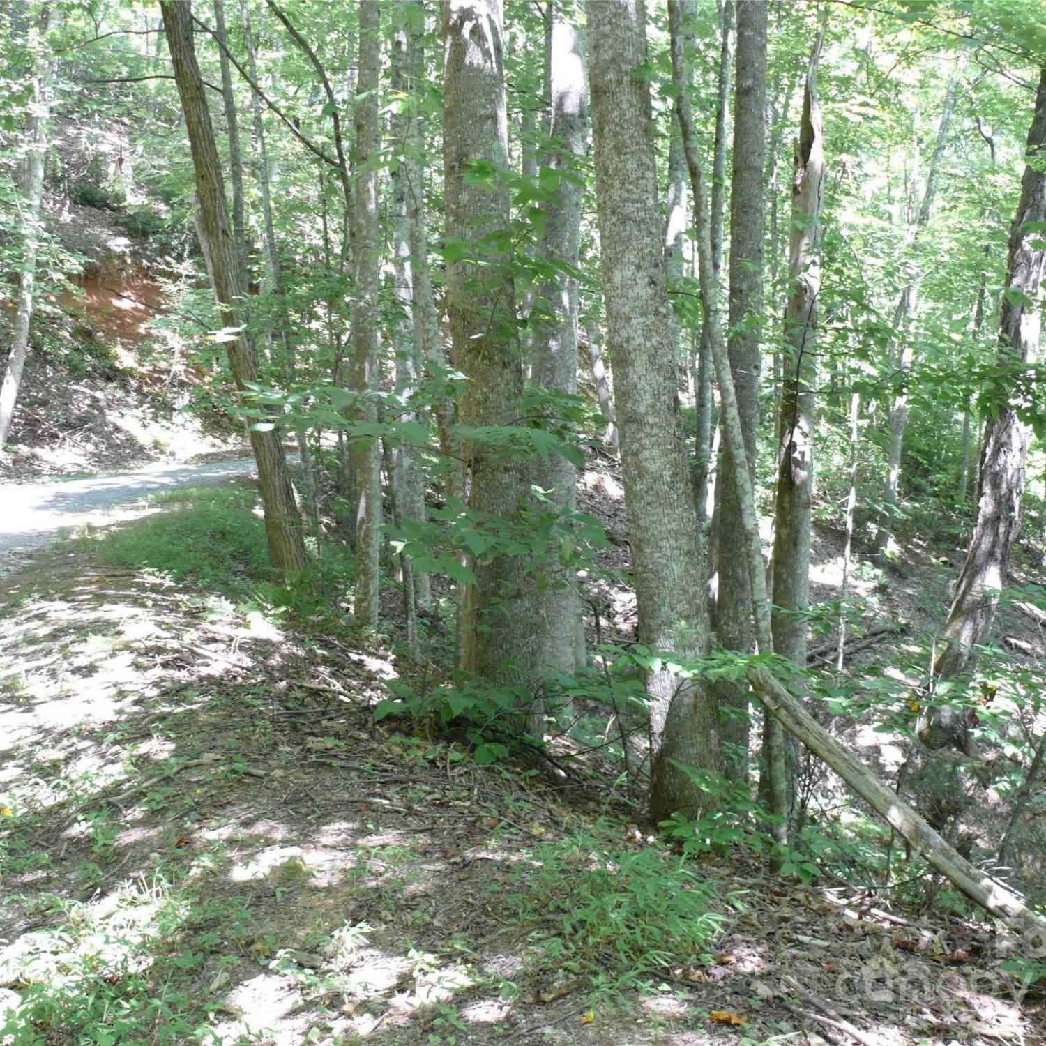 Lot 93 Rock Spring Road, Lake Lure, North Carolina image 2