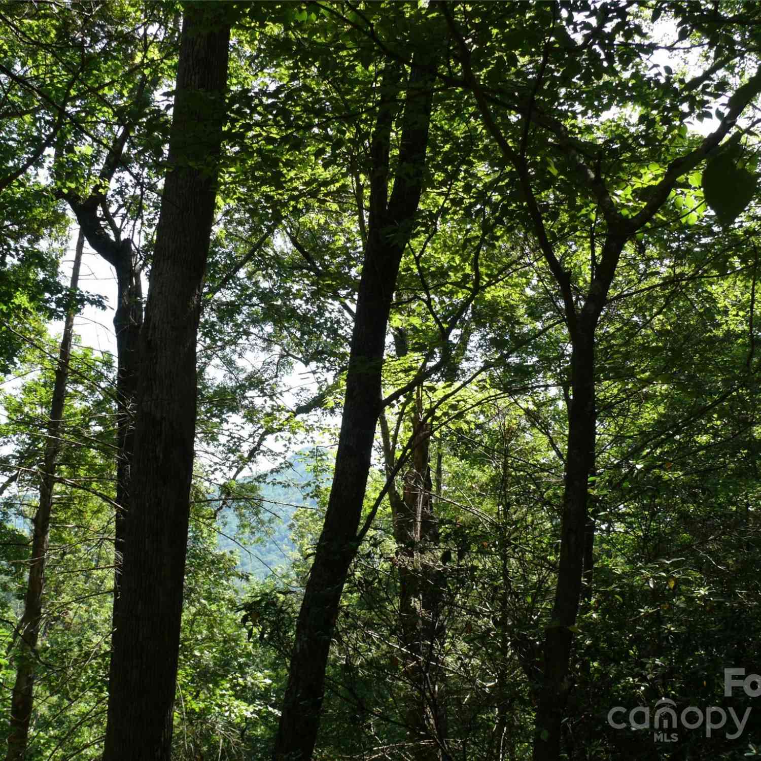 Lot 205 Knob Lane, Lake Lure, North Carolina image 6