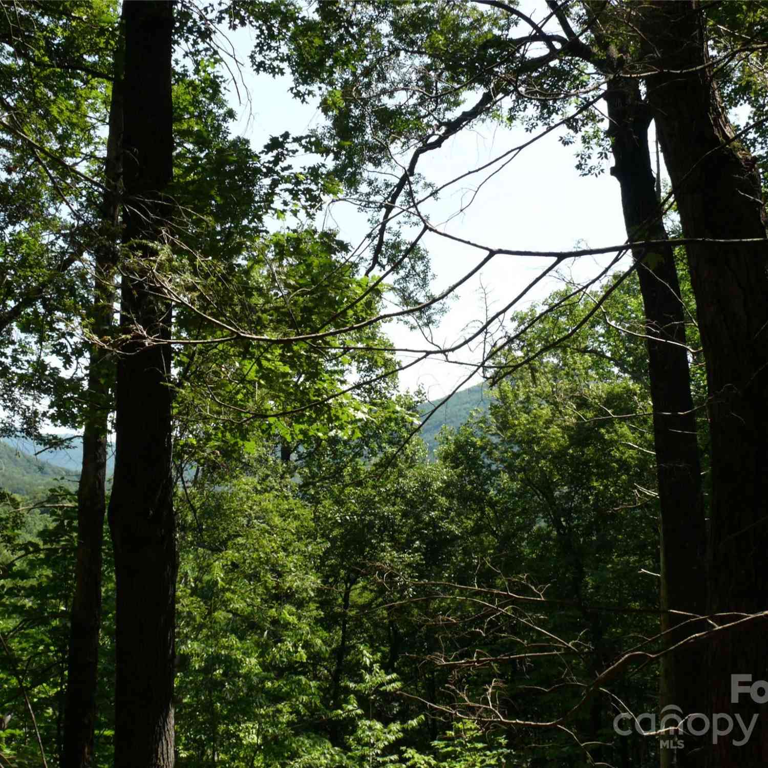 Lot 205 Knob Lane, Lake Lure, North Carolina image 7