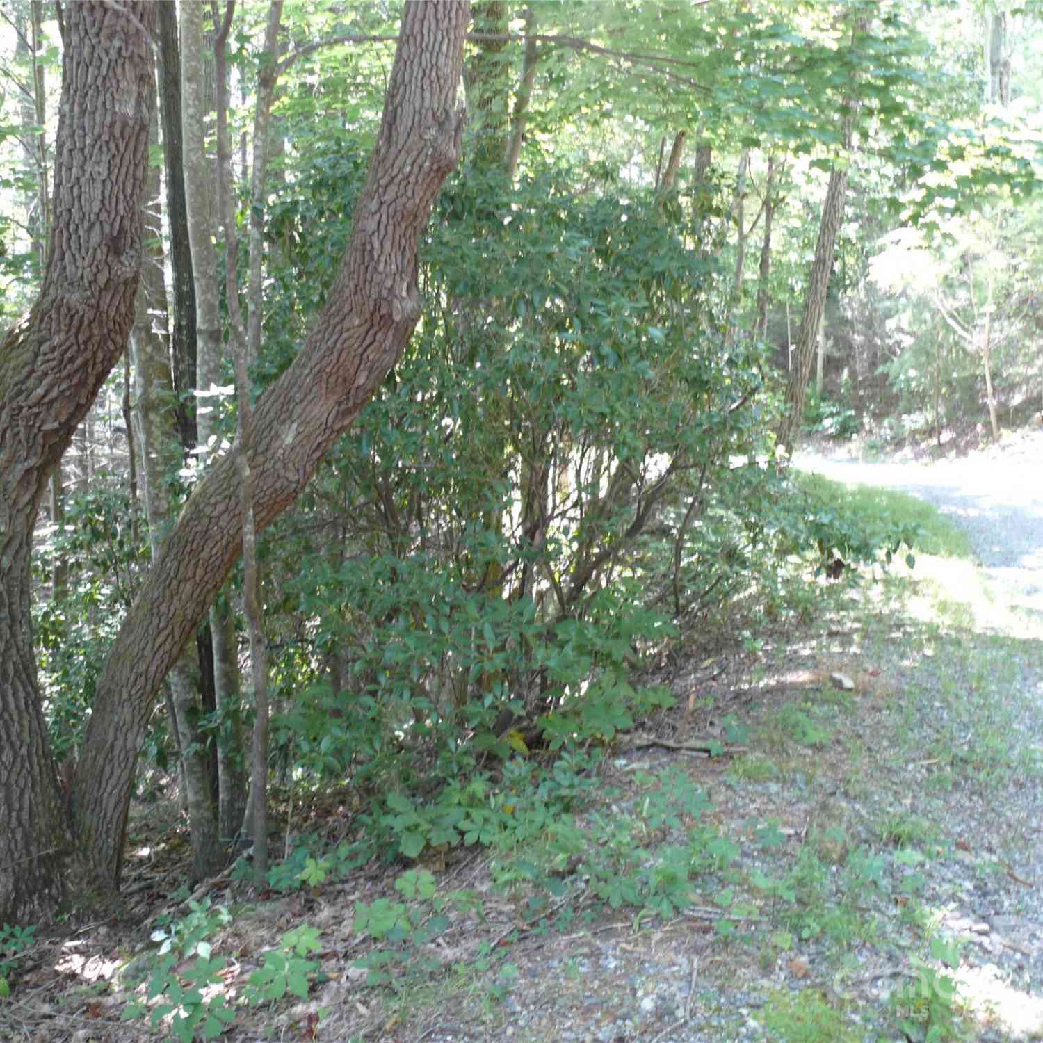 Lot 205 Knob Lane, Lake Lure, North Carolina image 2