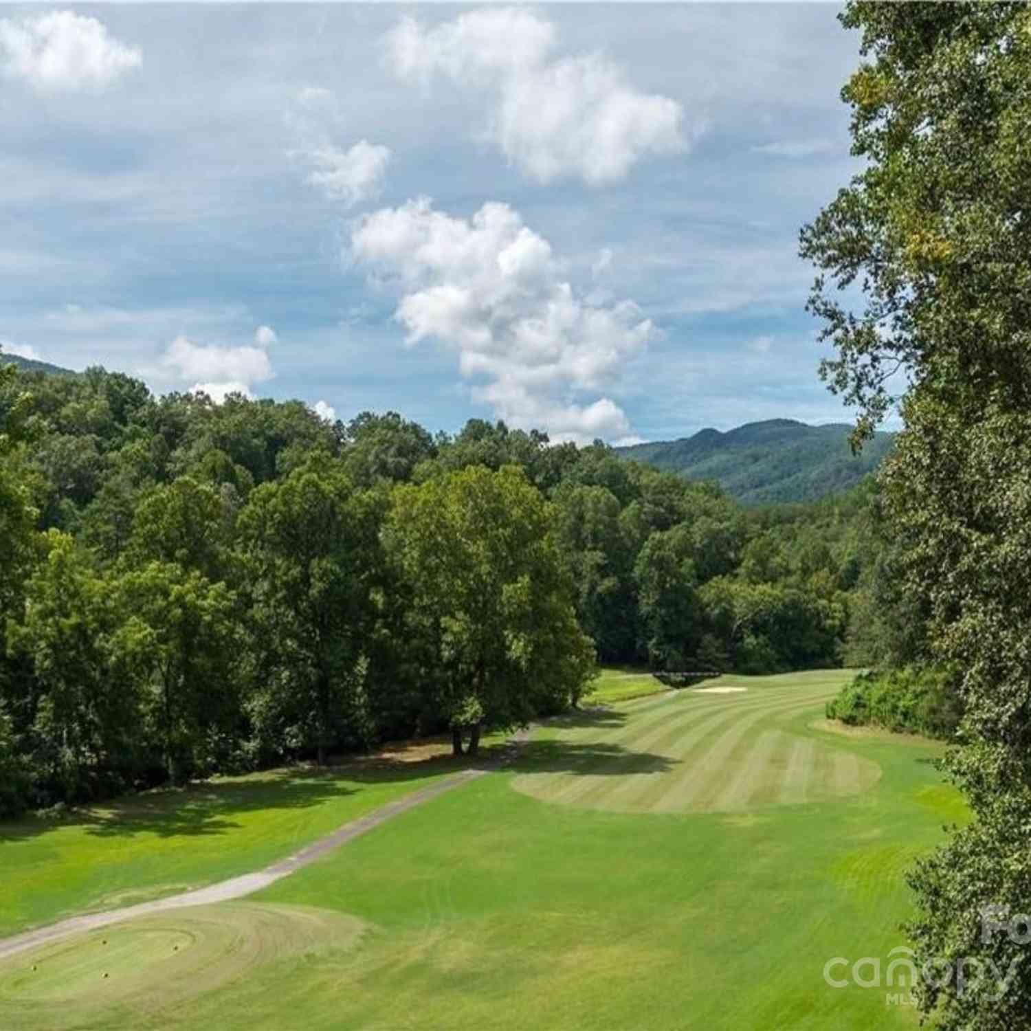 Lot 205 Knob Lane, Lake Lure, North Carolina image 14