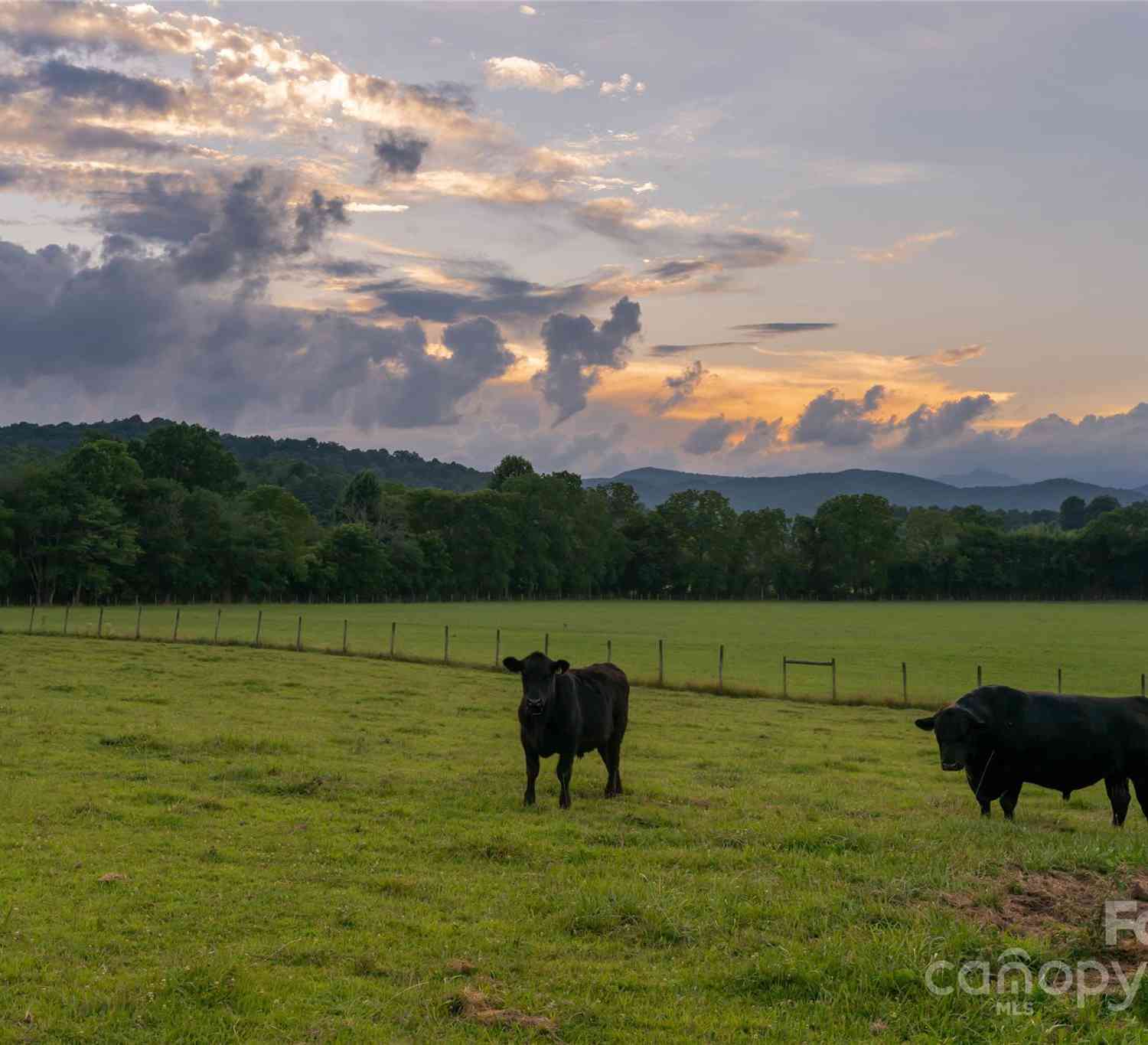 280 Walnut Hollow Road, Brevard, North Carolina image 4