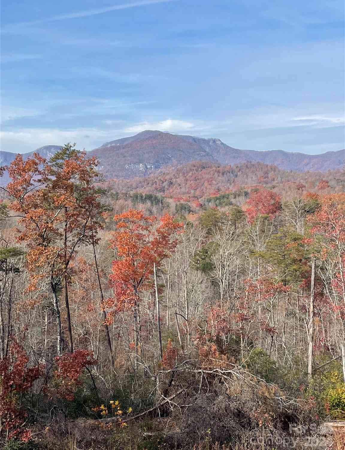 230 Sparrows Way, Lake Lure, North Carolina image 7