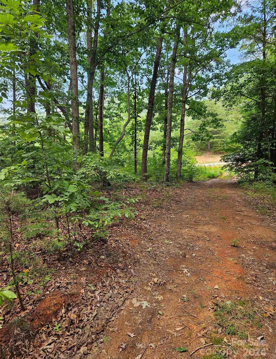 Deer Jump Trail #347, Lake Lure, North Carolina image 5