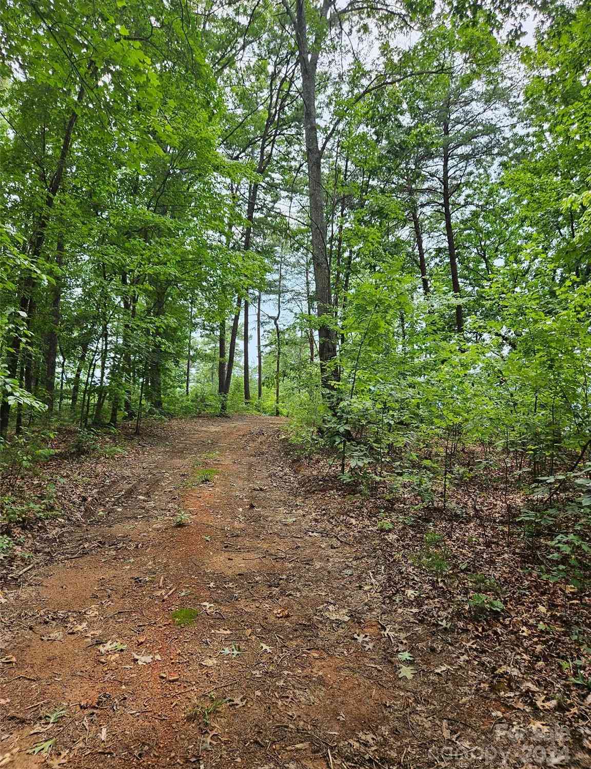 Deer Jump Trail #347, Lake Lure, North Carolina image 2