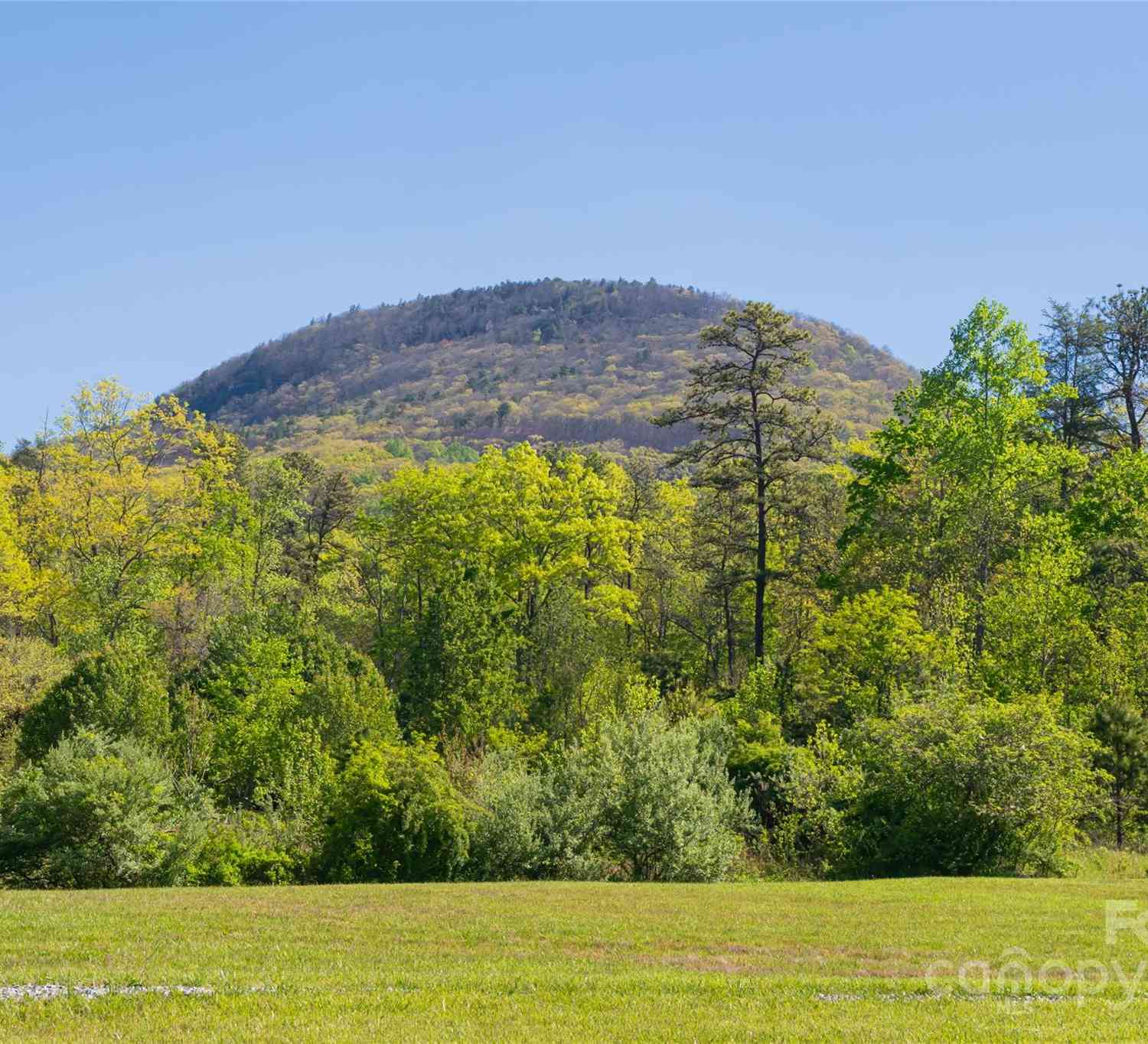 103 Maynards Way, Hendersonville, North Carolina image 34
