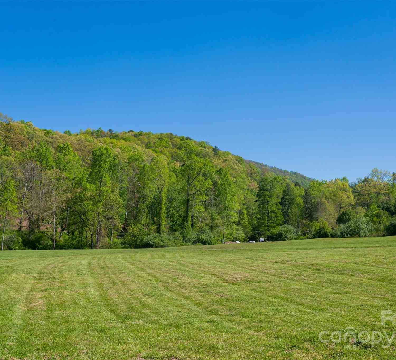 103 Maynards Way, Hendersonville, North Carolina image 13