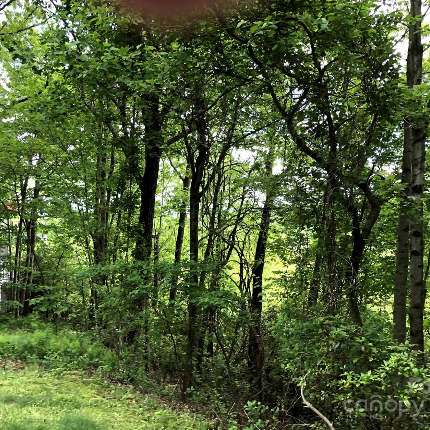 211 Bent Pine Trace #184, Hendersonville, North Carolina image 37