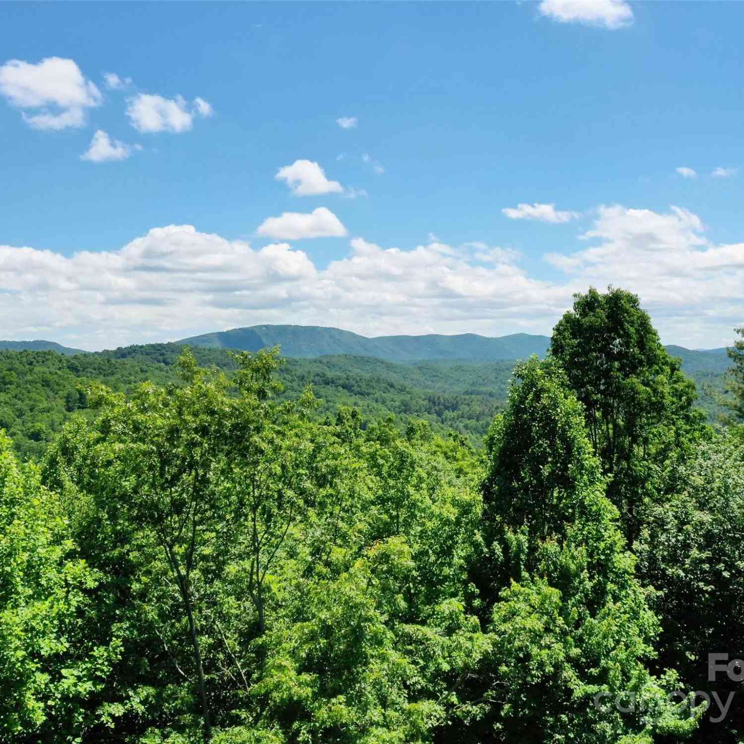 211 Bent Pine Trace #184, Hendersonville, North Carolina image 7