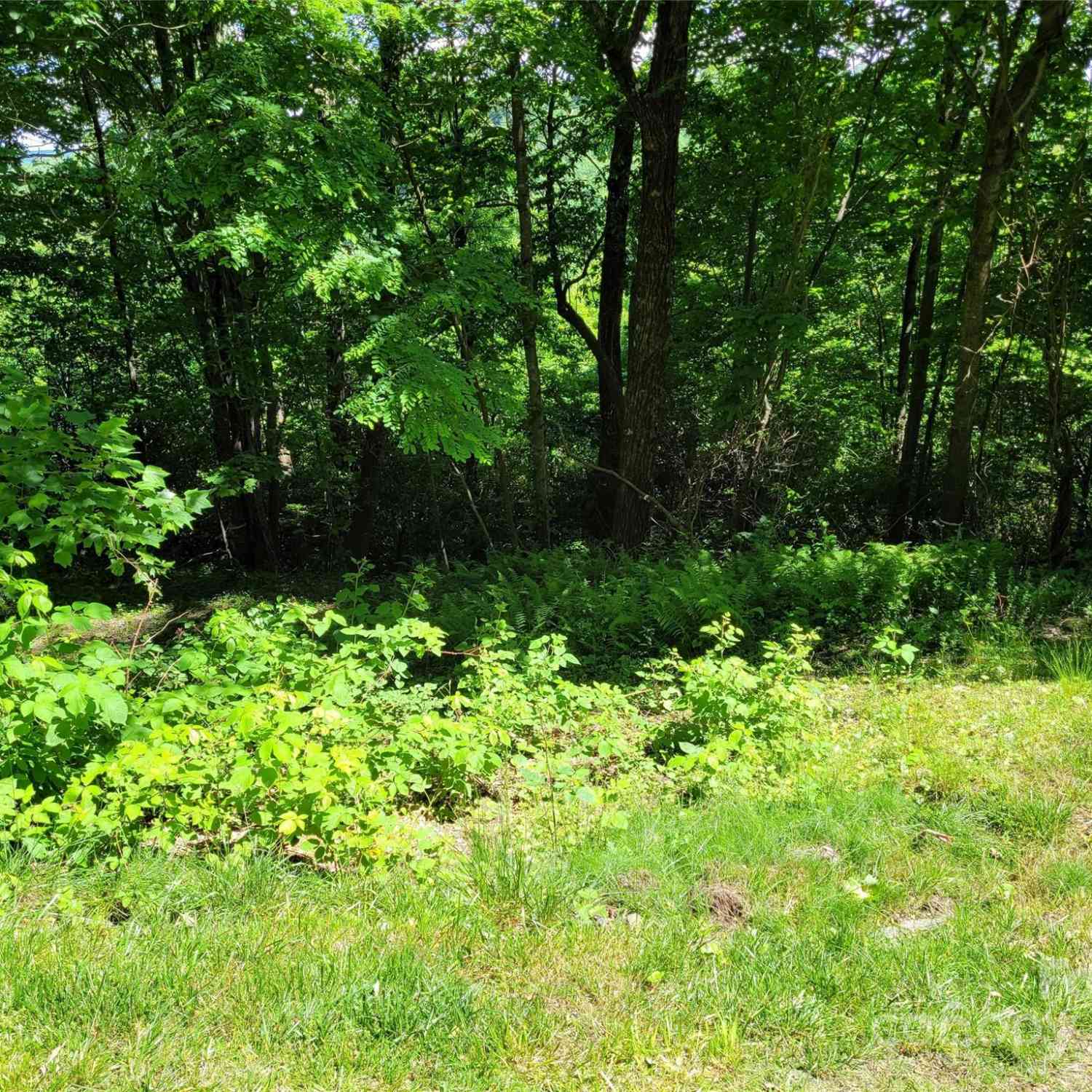 211 Bent Pine Trace #184, Hendersonville, North Carolina image 17