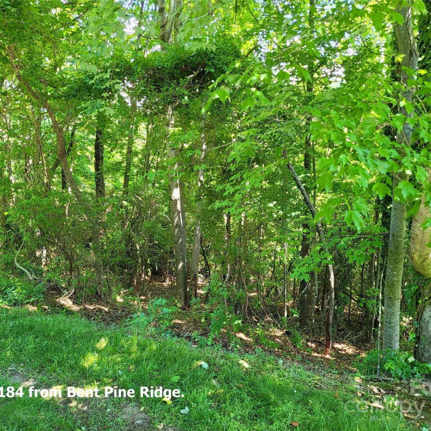 211 Bent Pine Trace #184, Hendersonville, North Carolina image 14