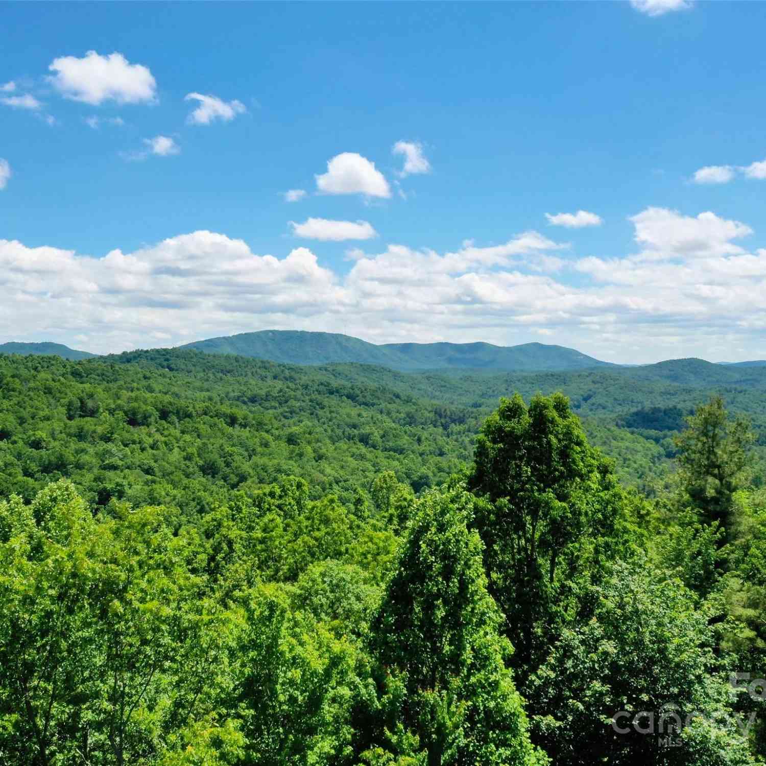 211 Bent Pine Trace #184, Hendersonville, North Carolina image 1