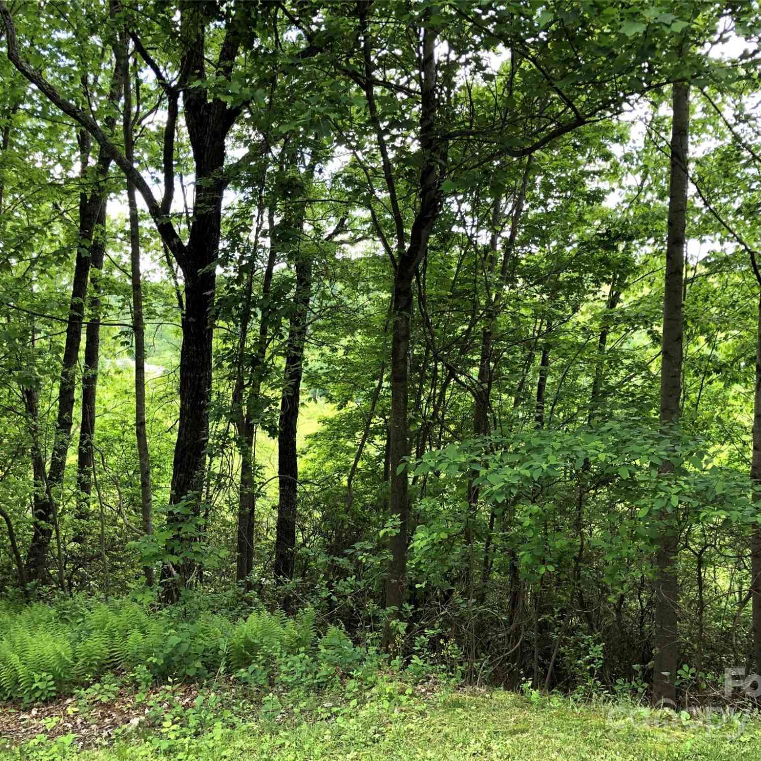211 Bent Pine Trace #184, Hendersonville, North Carolina image 31