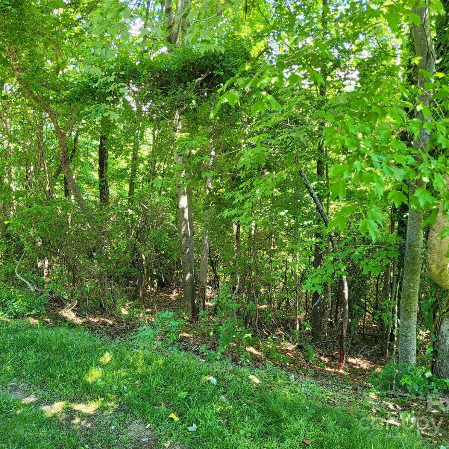 211 Bent Pine Trace #184, Hendersonville, North Carolina image 15