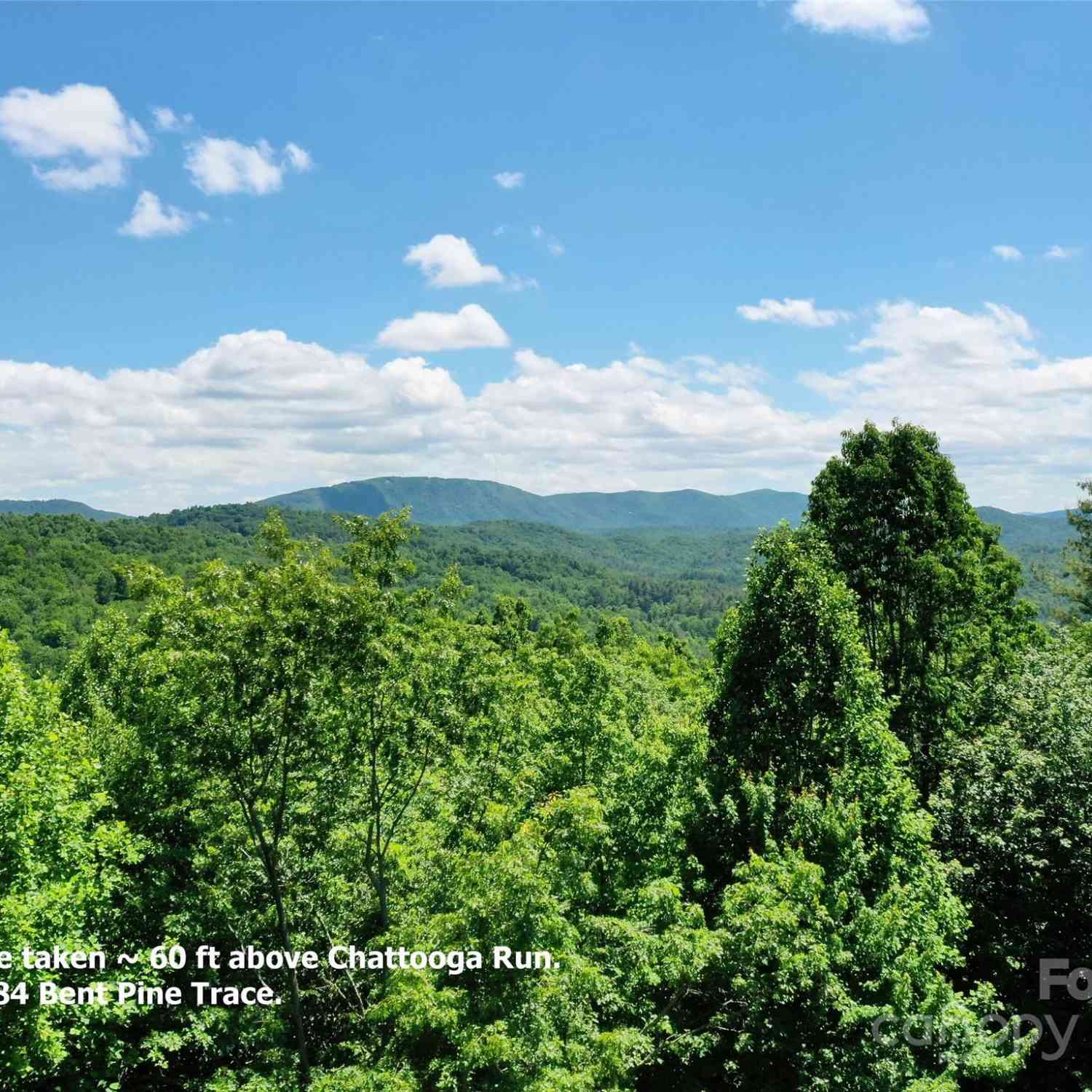 211 Bent Pine Trace #184, Hendersonville, North Carolina image 6