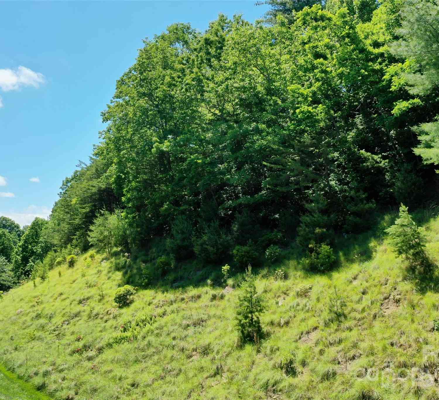211 Bent Pine Trace #184, Hendersonville, North Carolina image 11