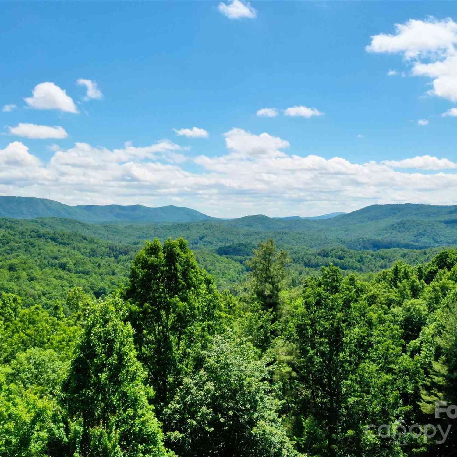 211 Bent Pine Trace #184, Hendersonville, North Carolina image 5