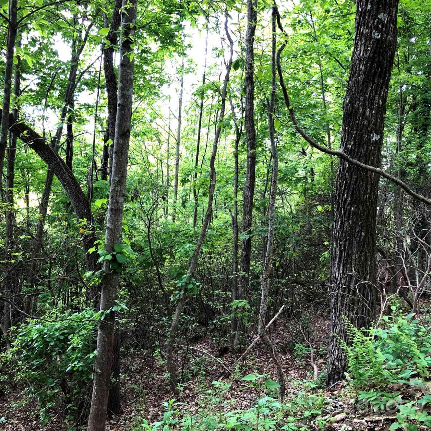 211 Bent Pine Trace #184, Hendersonville, North Carolina image 33