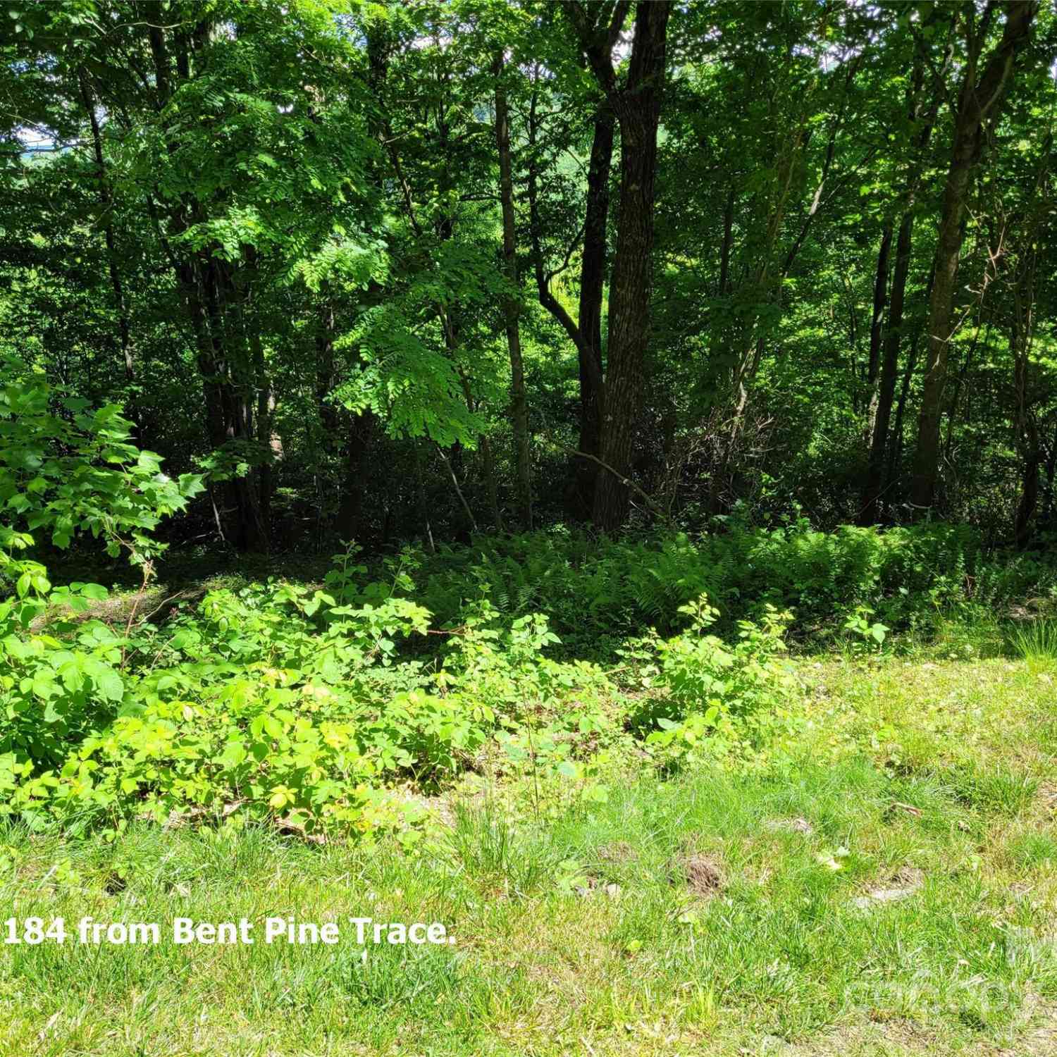 211 Bent Pine Trace #184, Hendersonville, North Carolina image 16