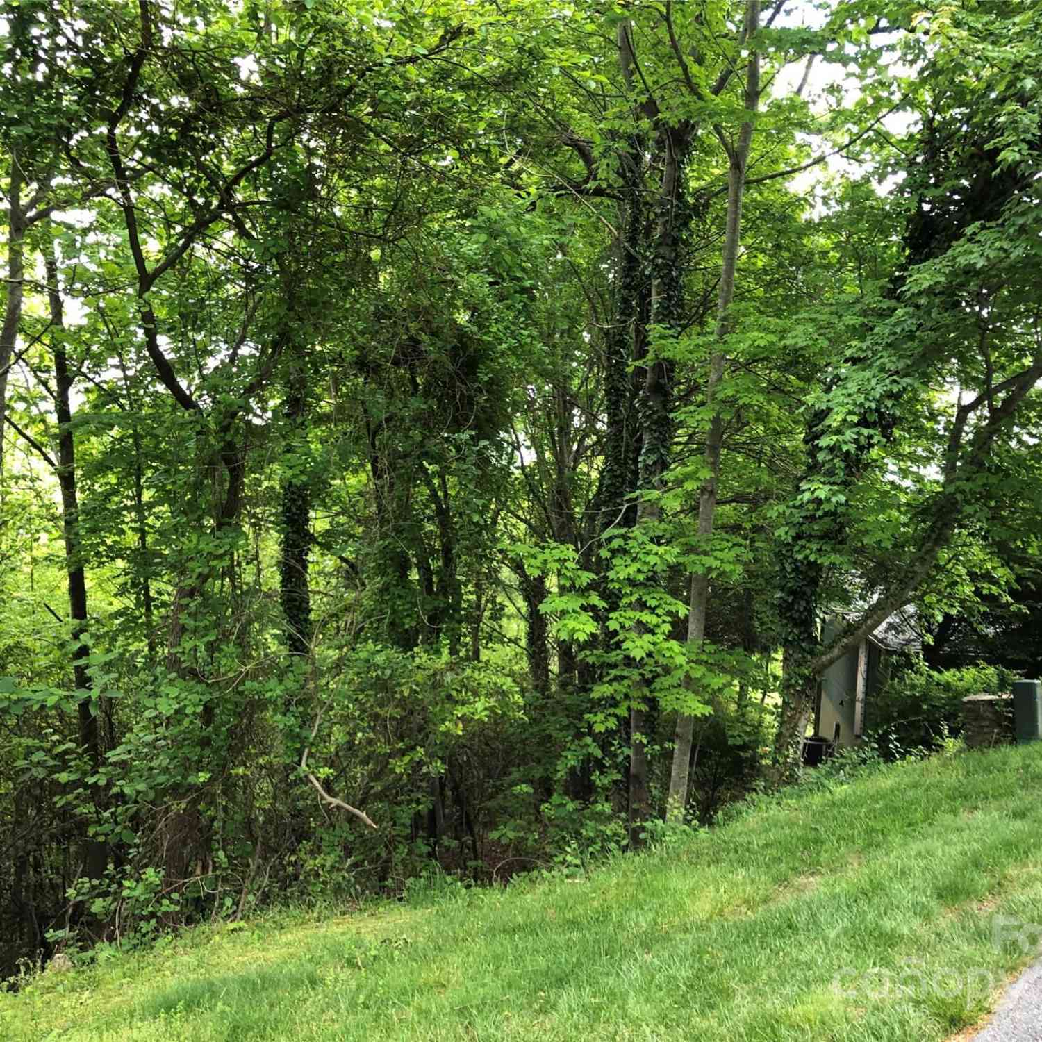 211 Bent Pine Trace #184, Hendersonville, North Carolina image 32