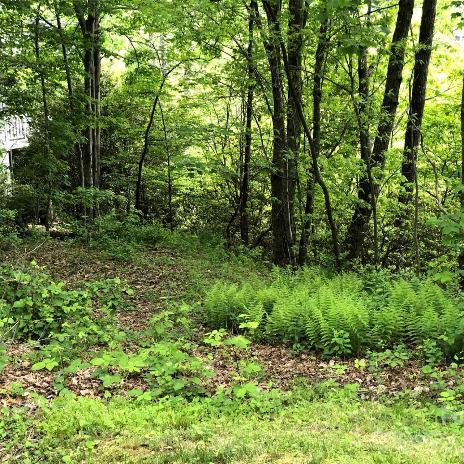 211 Bent Pine Trace #184, Hendersonville, North Carolina image 36