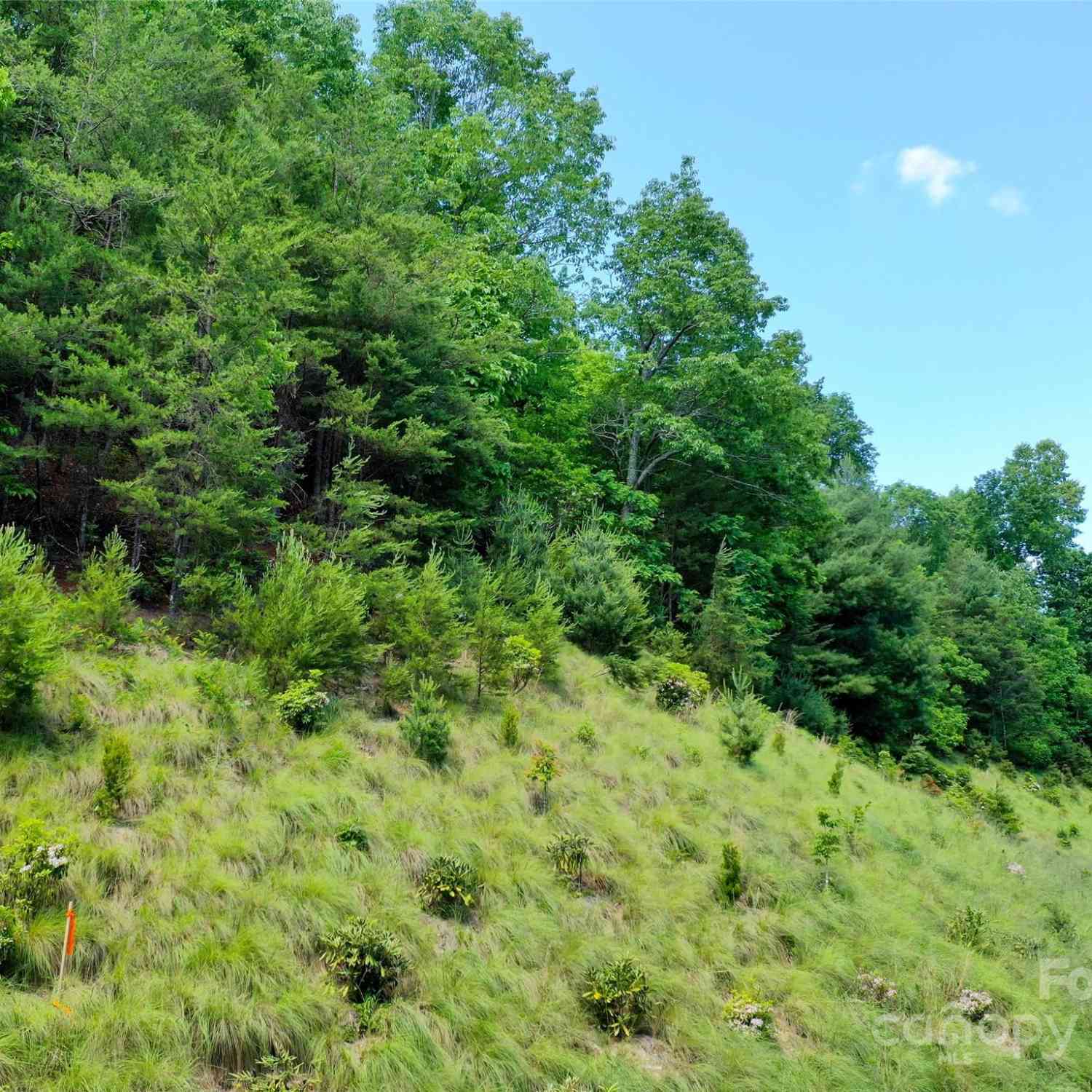 211 Bent Pine Trace #184, Hendersonville, North Carolina image 41