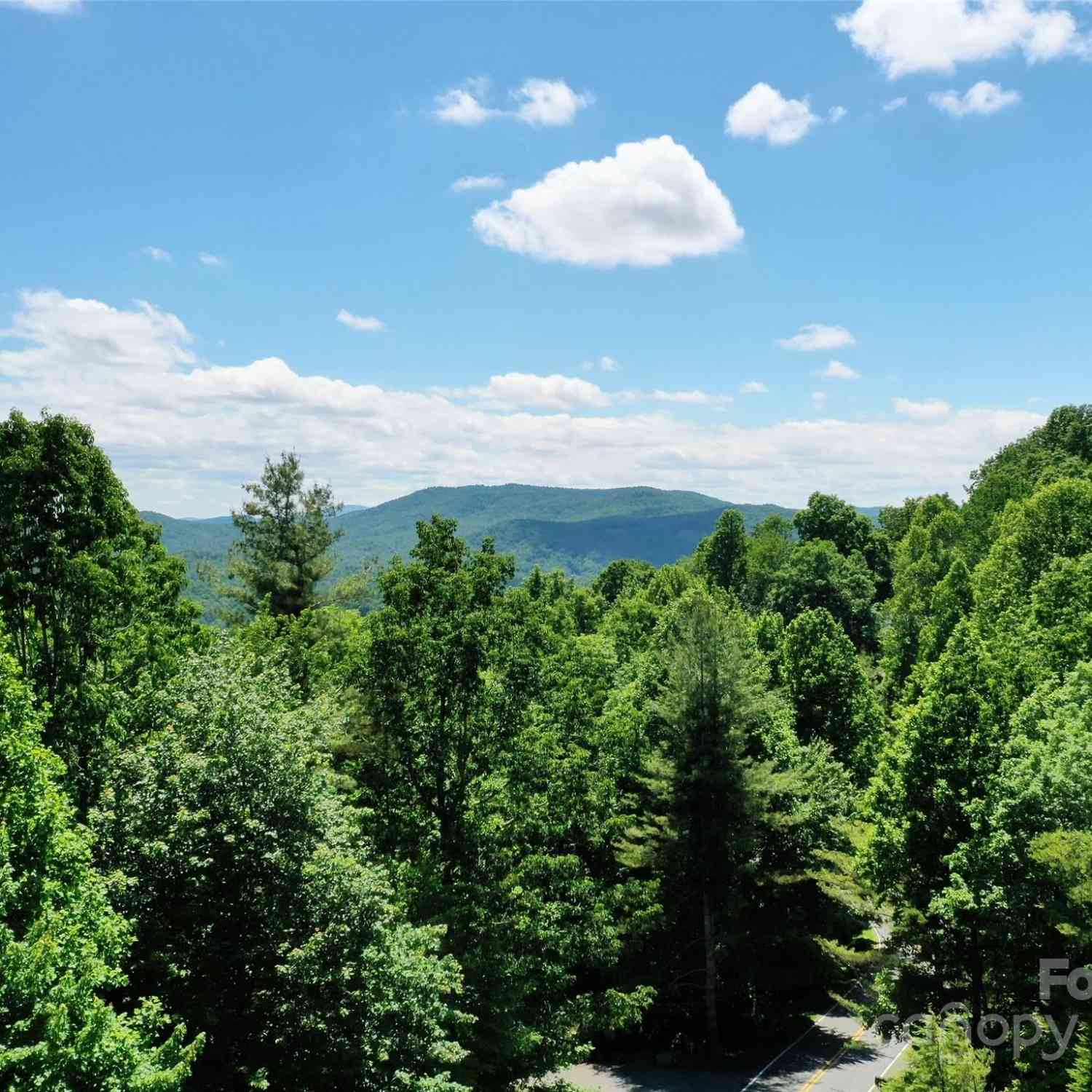 211 Bent Pine Trace #184, Hendersonville, North Carolina image 8