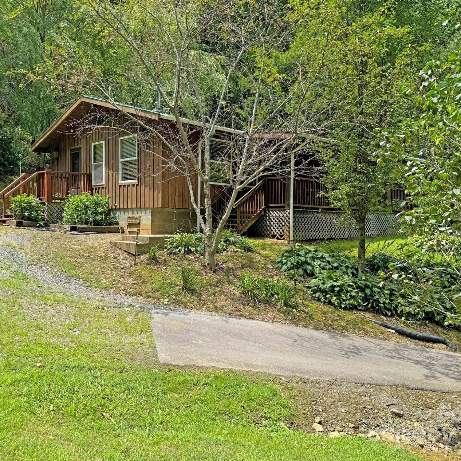 833 Sprinkle Branch Road, Marshall, North Carolina image 36