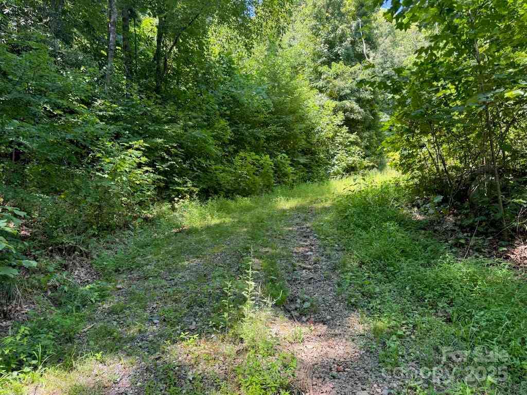 00 TBD Laurel Ridge Road, Maggie Valley, North Carolina image 3