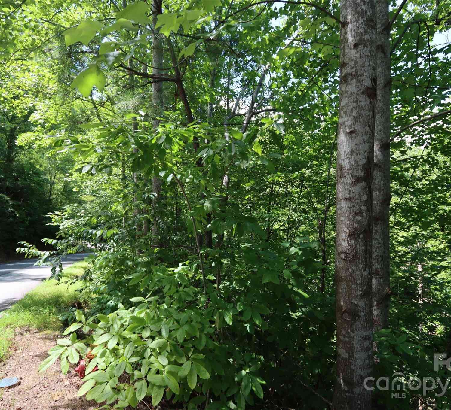 595 Quail Ridge Boulevard, Lake Lure, North Carolina image 12