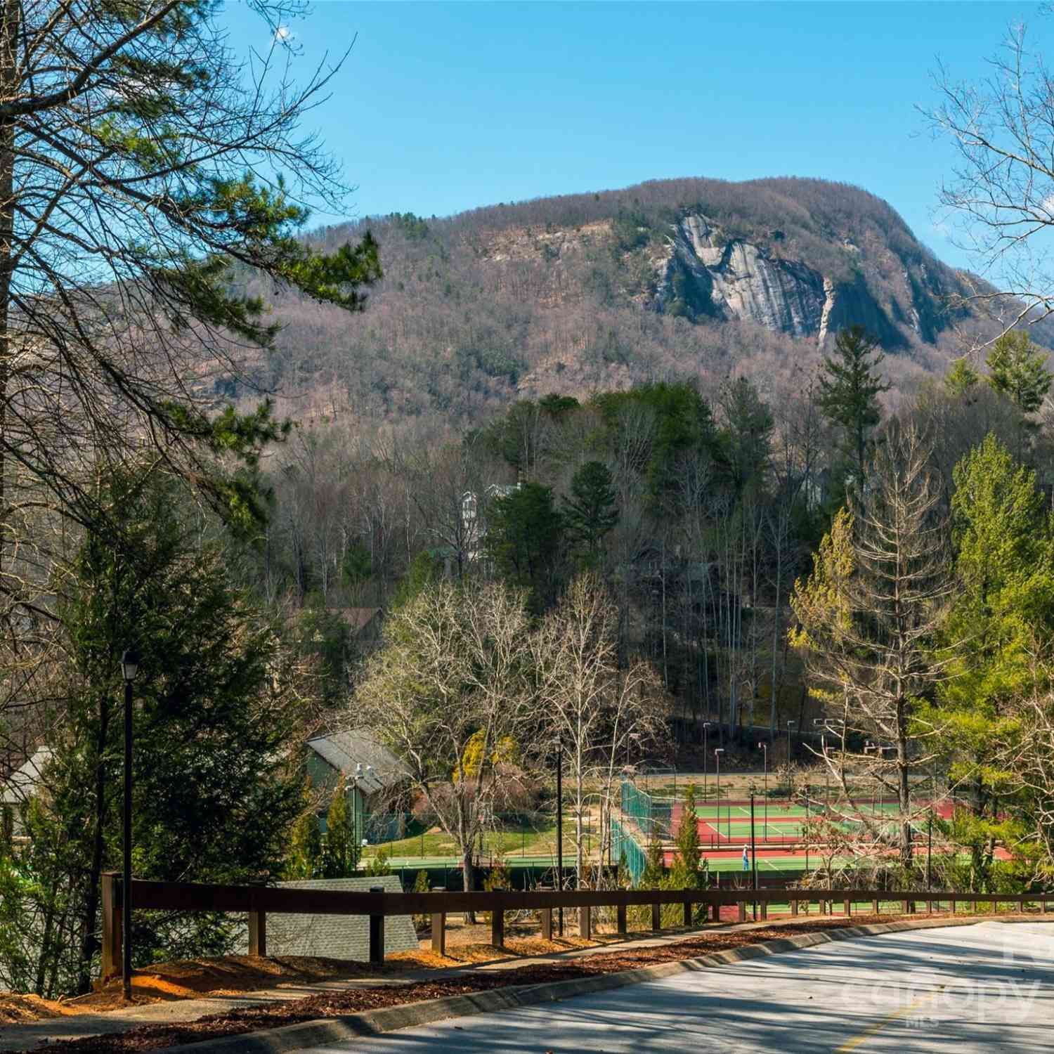 595 Quail Ridge Boulevard, Lake Lure, North Carolina image 20