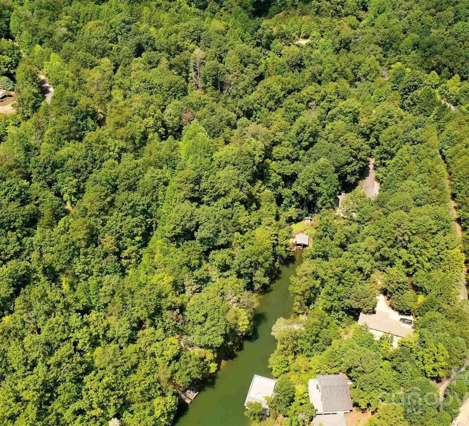 595 Quail Ridge Boulevard, Lake Lure, North Carolina image 8